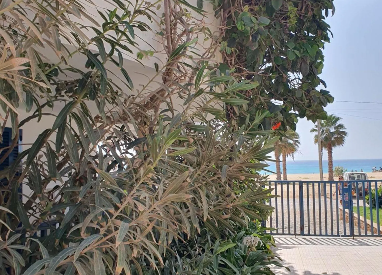 Holiday Properties Leme Bedje Ocean Breeze Santa Maria